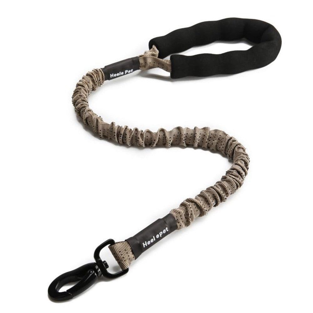 Pet Supplies Dog Elastic Traction Rope